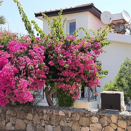 Villa Bougainvillea With Privite Pool Vasilia Buitenkant foto