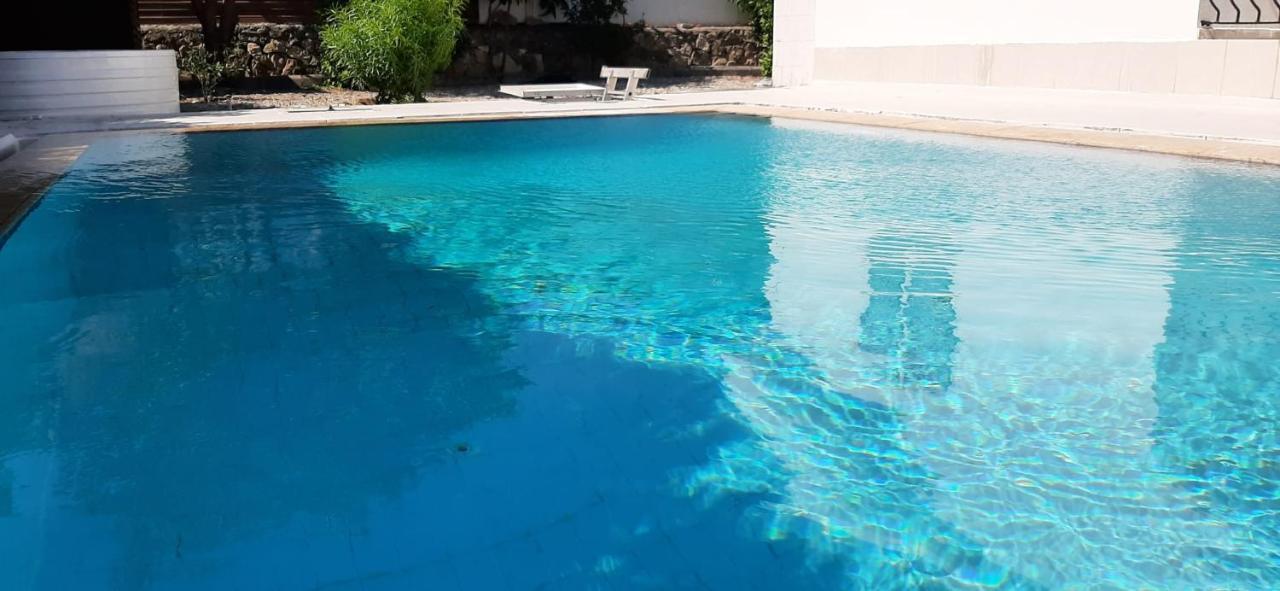 Villa Bougainvillea With Privite Pool Vasilia Buitenkant foto