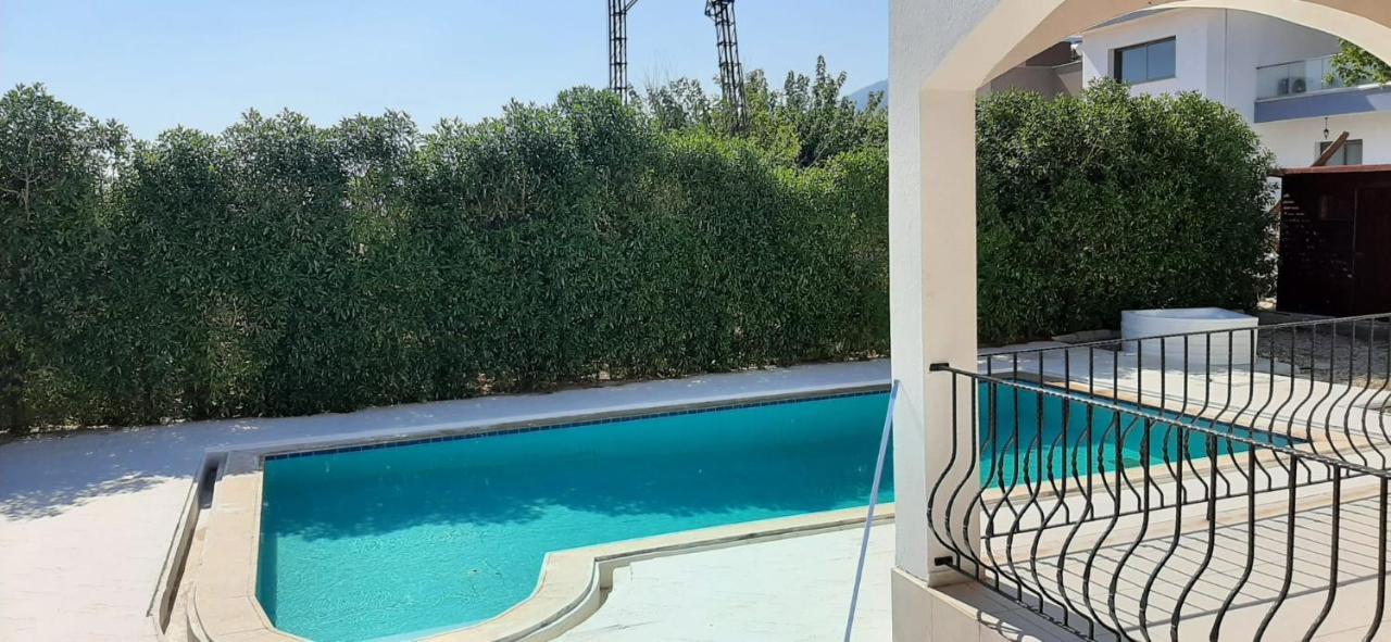 Villa Bougainvillea With Privite Pool Vasilia Buitenkant foto