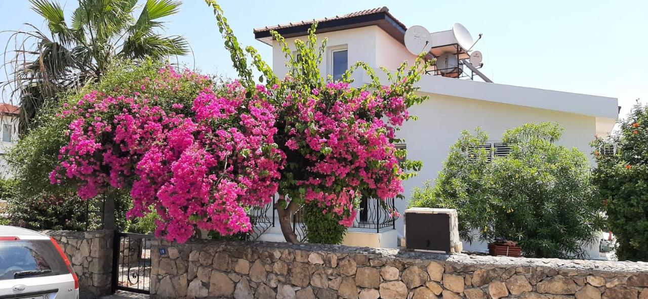 Villa Bougainvillea With Privite Pool Vasilia Buitenkant foto