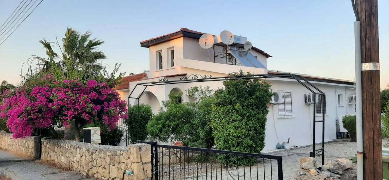 Villa Bougainvillea With Privite Pool Vasilia Buitenkant foto